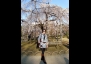 Japan - Lights of Big City
